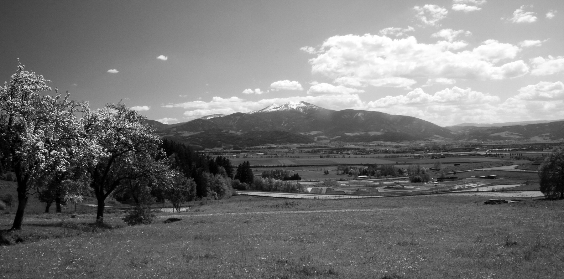 A spring view over a wide valley: fruit trees in blossom and a meadow in the foreground, a racing circuit crossing the plain in the middle distance, and a snow-capped mountain under white clouds.